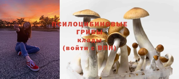 молекула духа Алзамай