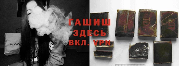 гидра Алексеевка