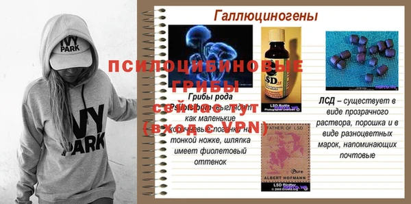 гидра Алексеевка