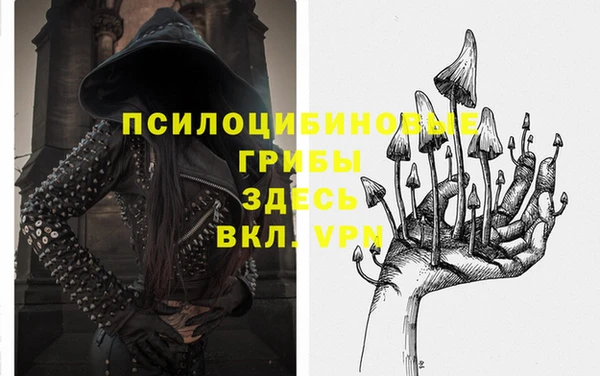 молекула духа Алзамай