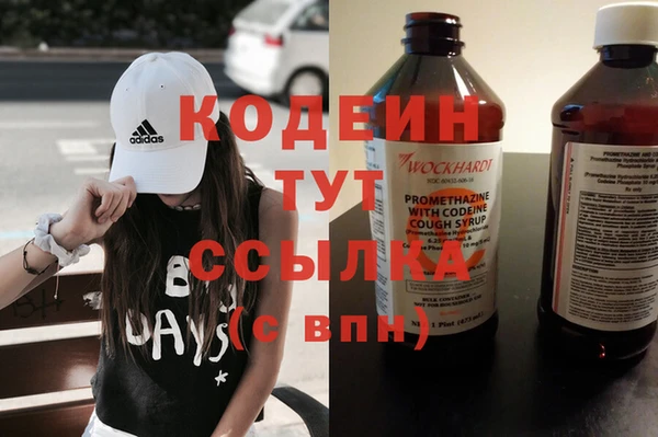 молекула духа Алзамай