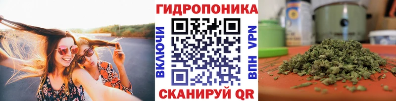 купить наркоту  Николаевск-на-Амуре  Шишки марихуана OG Kush 